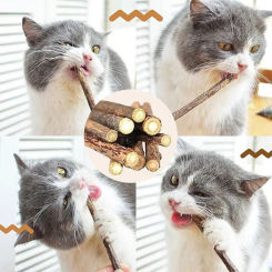 5/10pcs Cat Tooth Grinding Stick Natural Matatabi Mint Caught Bite Excited Rods for Cat Teeth Cleaning Treating Pet Cat Toys