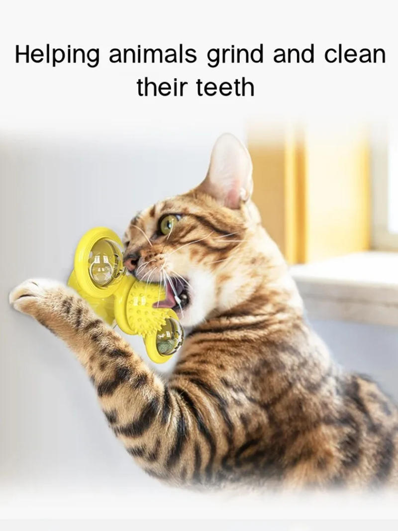 Description Picture 6 of itemWindmill Cat Toy Interactive Pet Toys for Cats Puzzle Cat Game Toy With Whirligig Turntable for Kitten Brush Teeth Pet Supplies