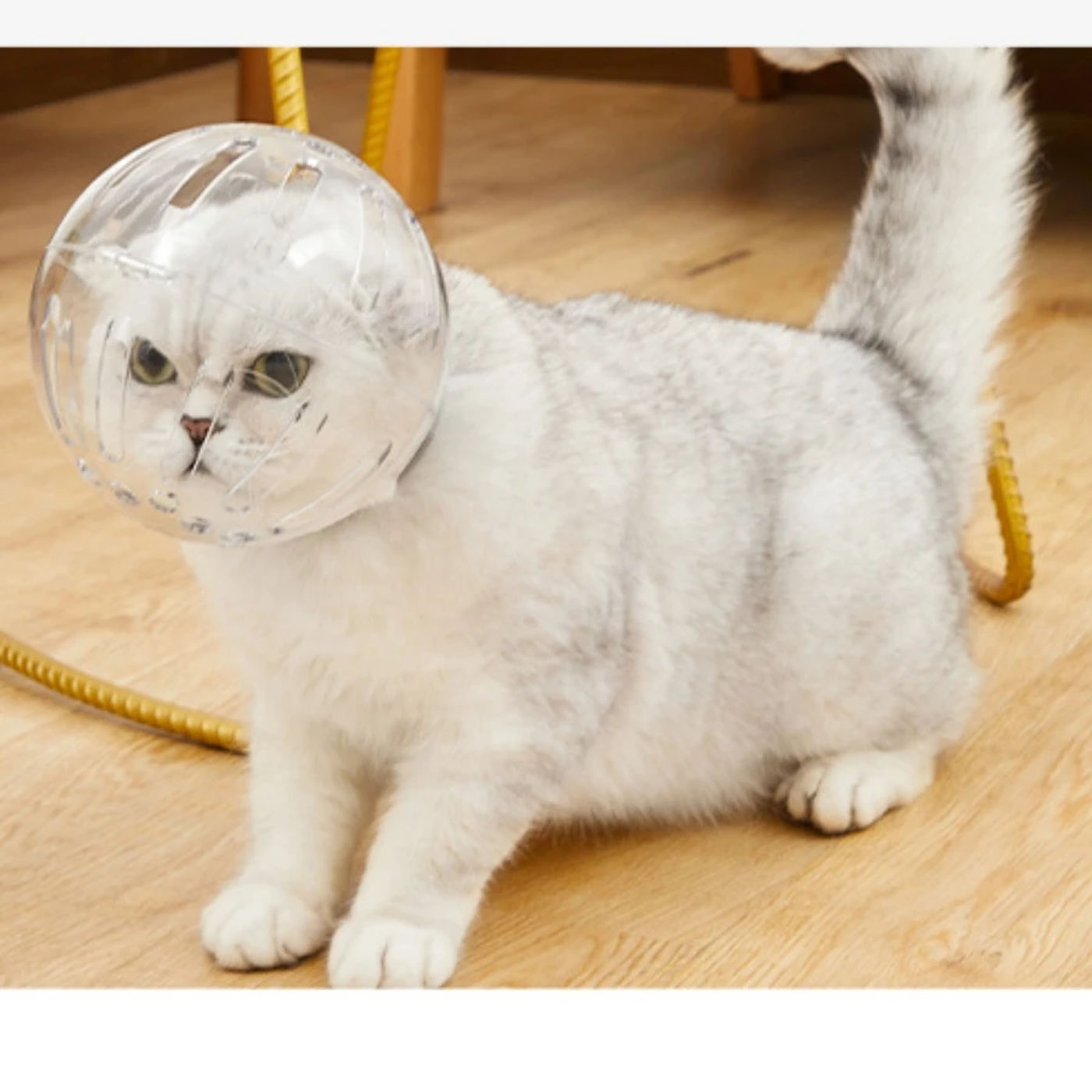 Description Picture 3 of itemHot Selling Breathable Anti-Bite Protective Space Pet Grooming Mask Non Toxic Resin Cat Muzzle