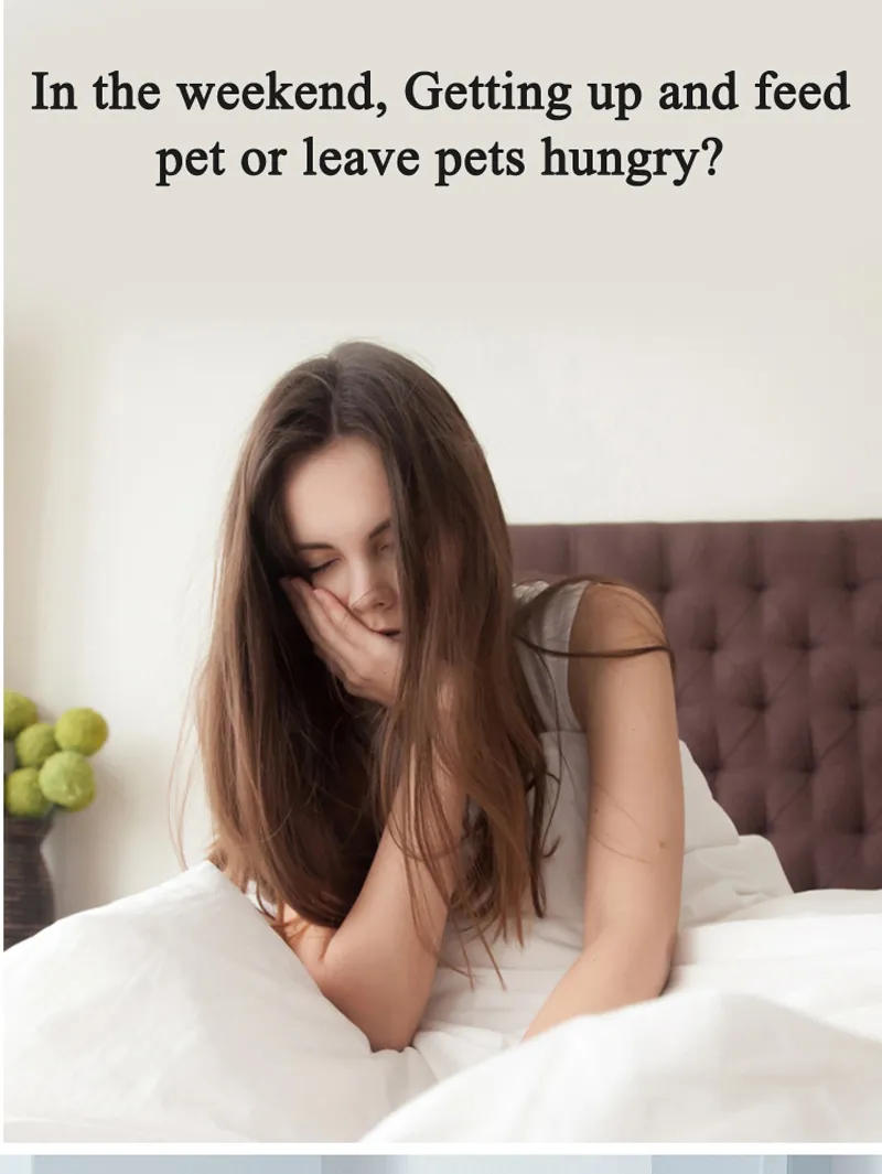 Description Picture 3 of item4L WiFi Pet Smart Automatic Feeder Timing for Cats and Dog Stainless Steel Bowl Camera Voice Record Easy to Observe Surplus Food