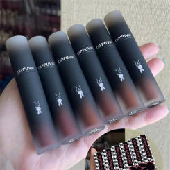 Waterproof Sweatproof Lip Gloss Matte Lasting Moisturizing Non Stick Cup Lip Mud Whitening Easy To Color Lipstick