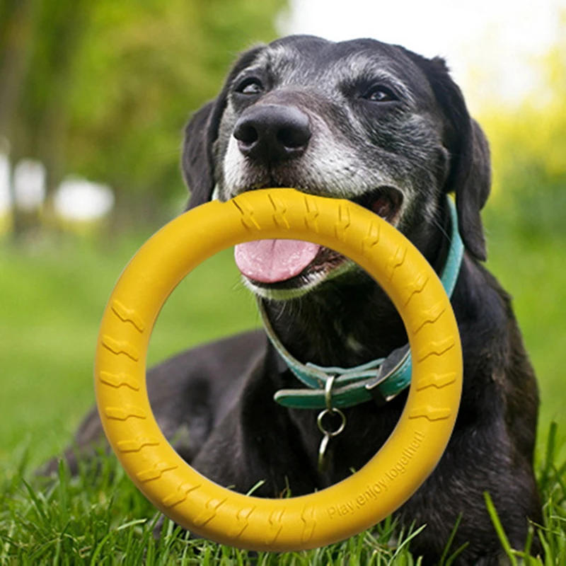 Description Picture 5 of itemPet Training Ring Puller Flying Discs Dogs Bite Resistant Chew Ball Toy Dog Toys For Big Large Floating Puppy Interactive Supply
