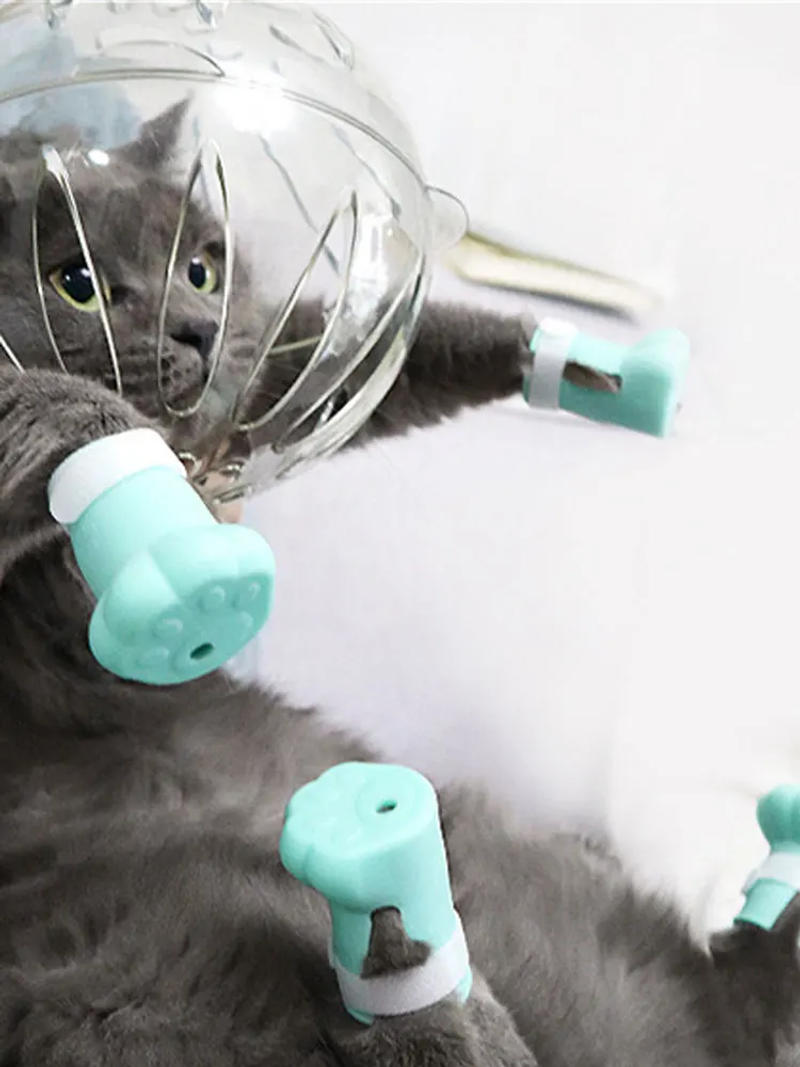 Description Picture 5 of itemAnti Bite Cat Hood Breathable Anti-Licking Pet Space Hood Portable ClearHelmet with Paw Cover Reusable Supplies With Cat Boots