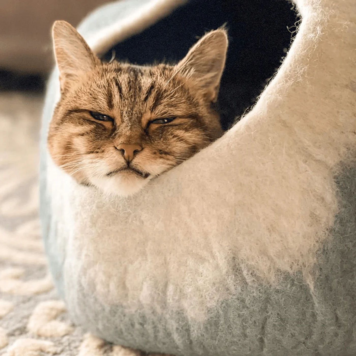 Slide ce856078d19f4f56a674aa81f5bd2699