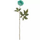 Turquois
