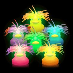 Flashing Puffer Duckies