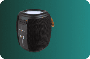 Portable Audio & Video