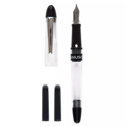 Clarity Fountain Pen