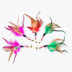 5pcs Replacement Cat Feather Toy Set Feather Accessories Of Cat Stick Replace Cat Toy Teaser Stick for Kitten Cat Toys