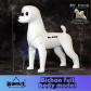 Bichon fullbodymodel