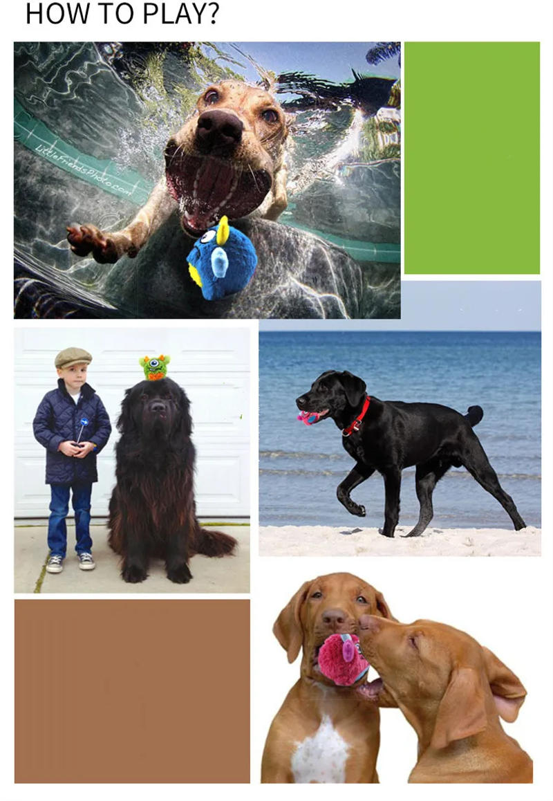 Description Picture 6 of itemSqueaker Interactive Dog Toy Balls for Small Dogs Play Bite Resistant Chew Ball Toys for Large Dogs Puzzle Training Accessories