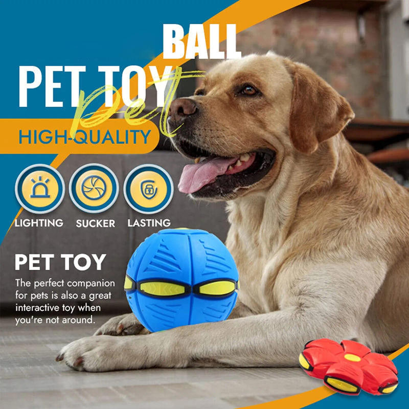 Description Picture 6 of item2023 New Pet Dog Toy Magic Flying Saucer Ball Durable Soft Rubber Interactive Throwing Ball Outdoor Sport Dog Training Equipment