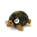 Slo Tortoise, 8 Inches, EAN 068485