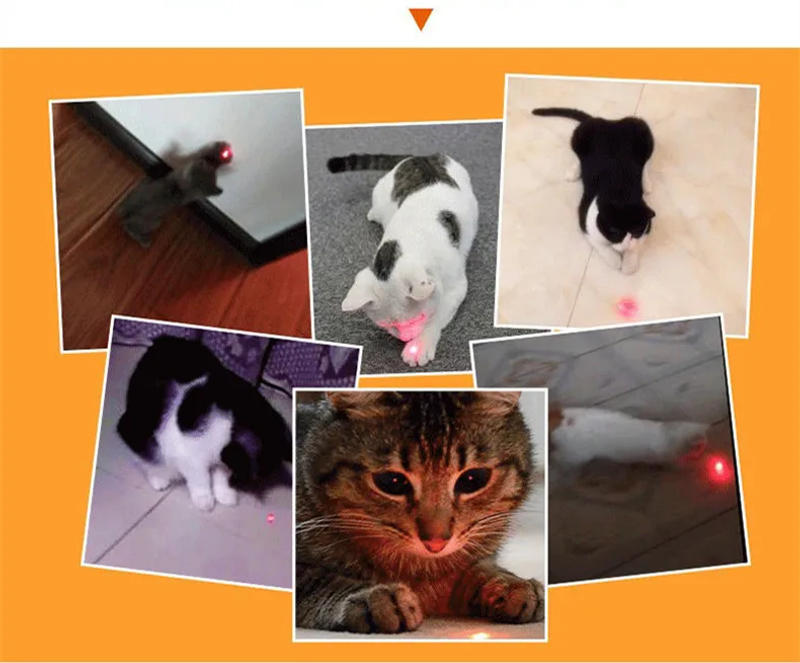 Description Picture 3 of item4mW Keychain Laser Pointer 2 In 1 Light Lazer Red Laser Lazer Pointer Pen + LED Light Torch Cat Dog Fun Toy No Battery