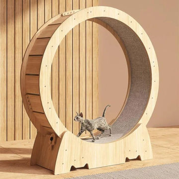 Cat Exercise Wheel, Indoor Cat Toys, Cat Running Wheel, Cat Treadmill, with Carpeted Runway, Small Cat Sport Toy, Fits Most Cats