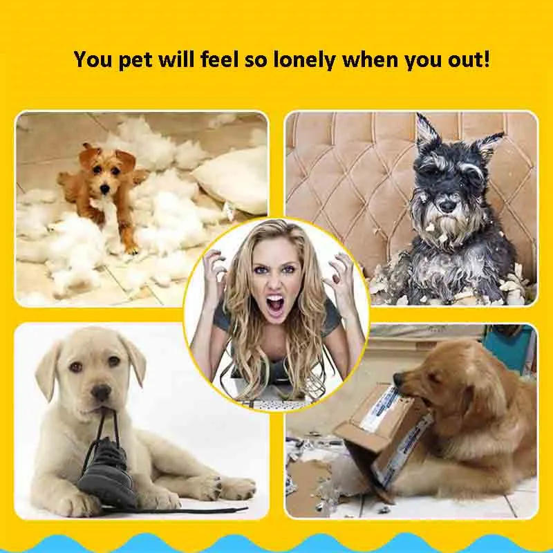 Description Picture 2 of item10PCS Random Pet Dog Toy Puppy Cat Vinyl Ball Dog Squeaky Toy Quack Chew Sound Play Fetching Funny Toy For Small Dog