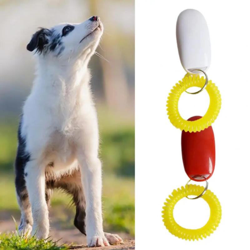 Description Picture 6 of itemPet Training Clicker Convenient Stop Barking Exercise Professional Recall Dog Training Clicker Tool for Yard
