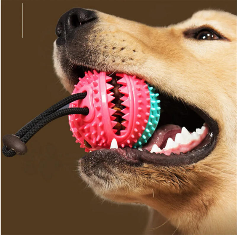 Description Picture 6 of itemNon-toxic Pet Dog Molar Bite Ball Food Slowly Feeder Toy Pet Tug Rope Chewing Toys Pet Dog Tooth Cleaning Toys With Suction Cup