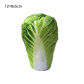 Cabbage