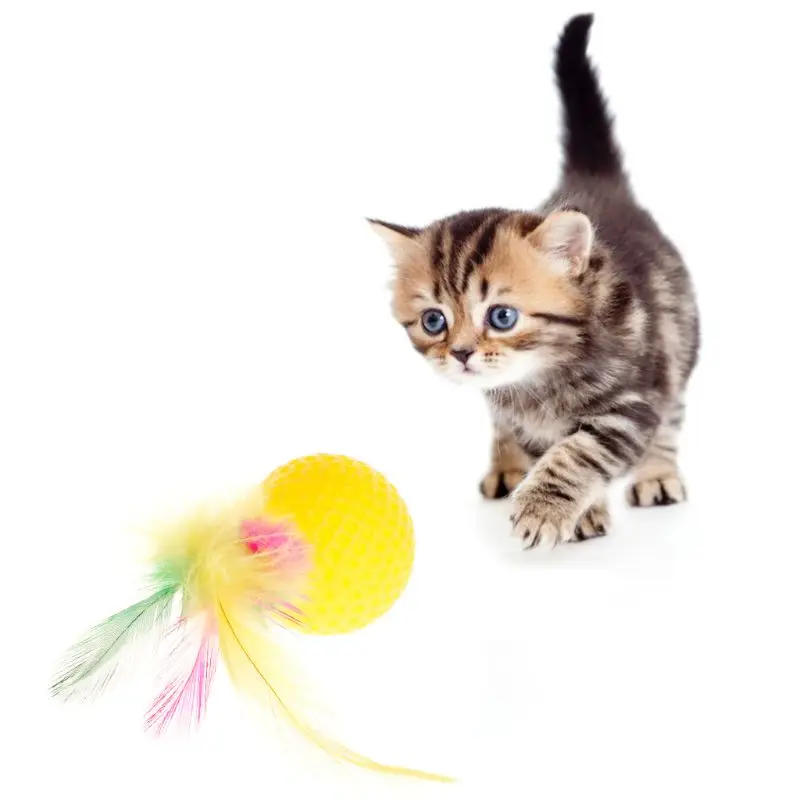 Description Picture 5 of itemColorful for Cat Squeaky Ball  Feather Balls Training Interactive Funny Toy