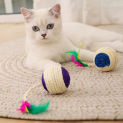 Cat Toy Interactive Sisal Scratching Ball Training Funny Play Feather Kitten Toys Catcher Throwing Pet Playing Catch Accessories