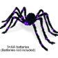 Only big spider