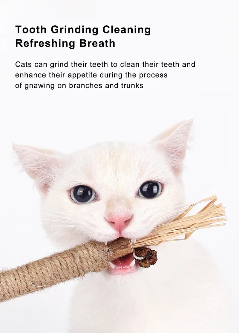 Description Picture 4 of item1 Pc Cat Toys Silvervine Chew Stick Polygonum Kitty Raffia Grass Pet Supplies Cleaning Teeth Stick Pet Bite Cat Toy Hemp Rope