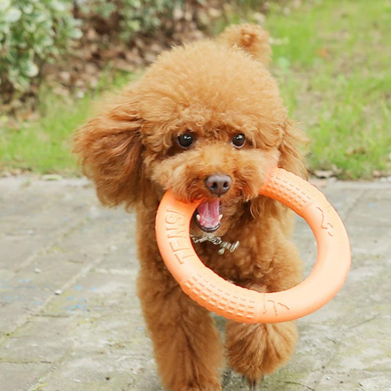 Description Picture 3 of itemDog Toys Pet Flying Disk Training Ring Puller Anti-Bite Floating Interactive Supplies Dog Toys Aggressive Chewing