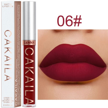 Matte Velvet Lip Glaze Waterproof Long Lasting Lipstick  Lip Gloss Silky Smooth Makeup Sexy Women Lip Balm Gift