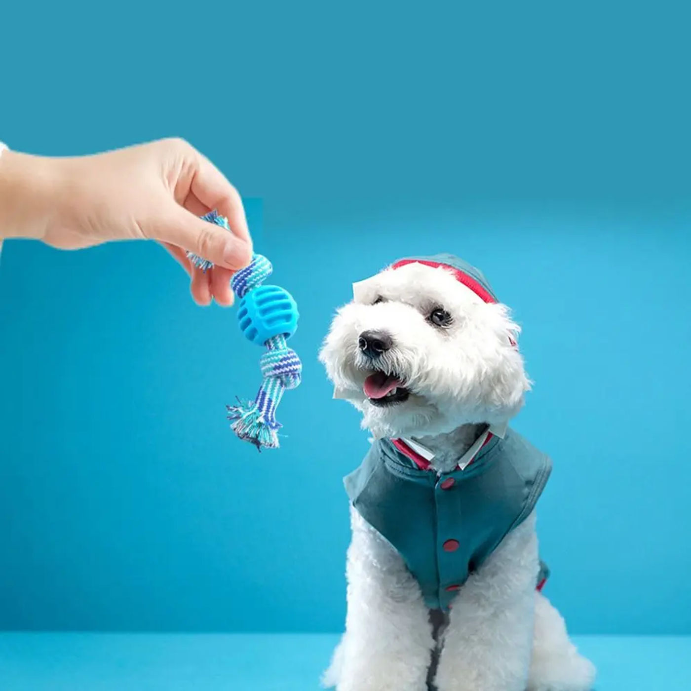 Description Picture 5 of itemPet Dog Toy Cotton Rope Double Knot Interactive Toy Bite-resistant Tooth Cleaning Dog Toys for Small Large Dogs Dog Accessories