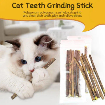 Natural Catnip Pet Cat Molar Toothpaste Stick Pet Cat Kitten Chew Toys Stick Fruit Matatabi Cat Snacks Sticks Pet Cleaning Teeth