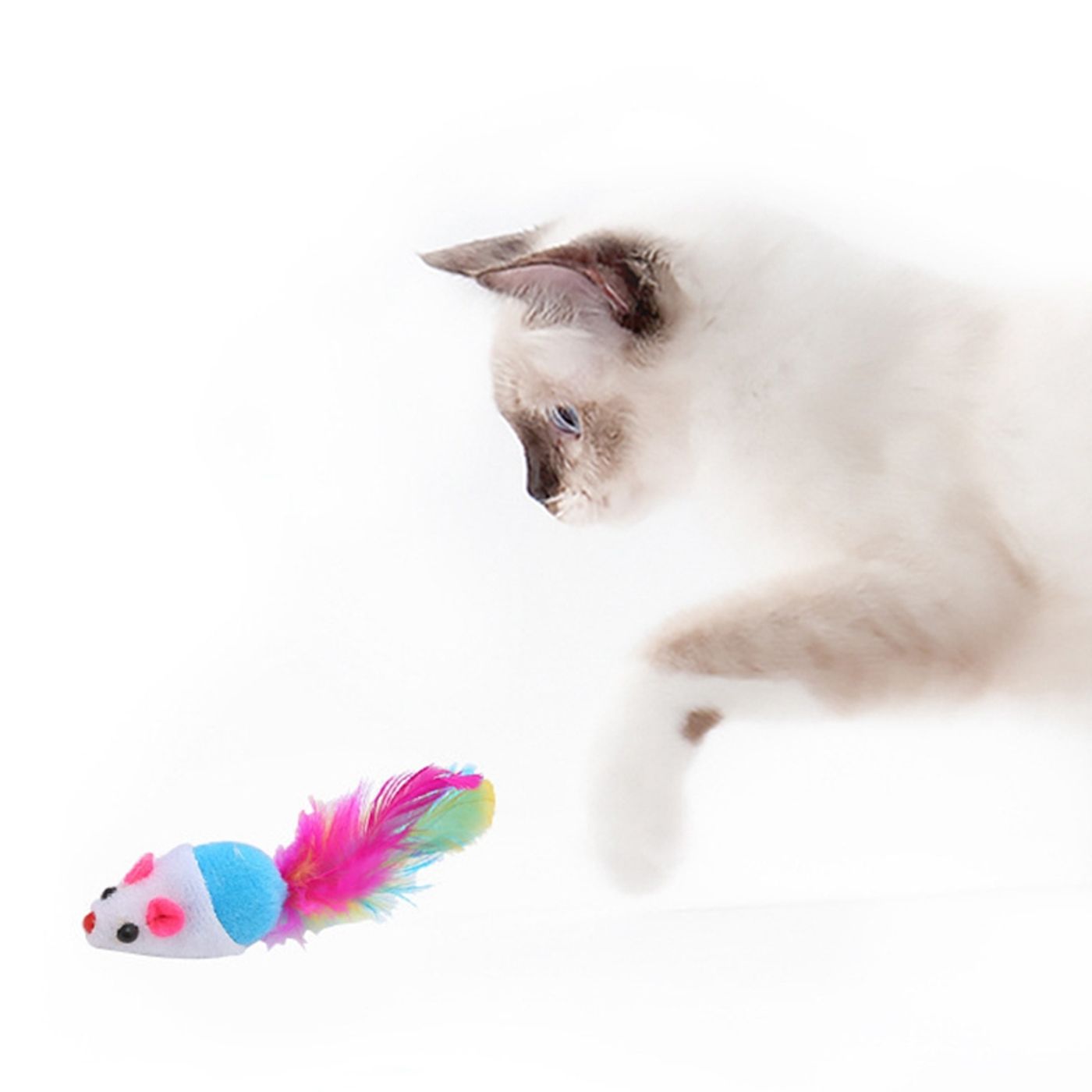 Description Picture 6 of item1Pcs Cute Pet Cat Toys False Mouse Pet Cat Toys Mini Playing Toys Lightweight Funny With Colorful Feather Plush Mini Mouse Toy