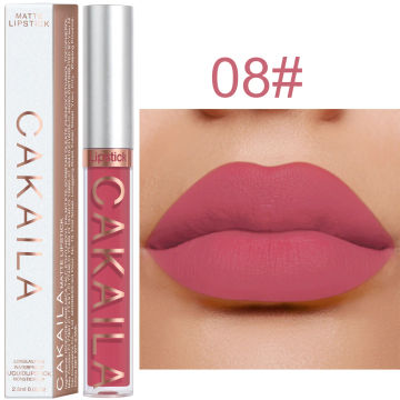 Matte Liquid Lipstick Waterproof Long Lasting Velvet Mate Nude Brown Red Lip Gloss Lint Tube Makeup Cosmetic Lipsticks Lipgloss