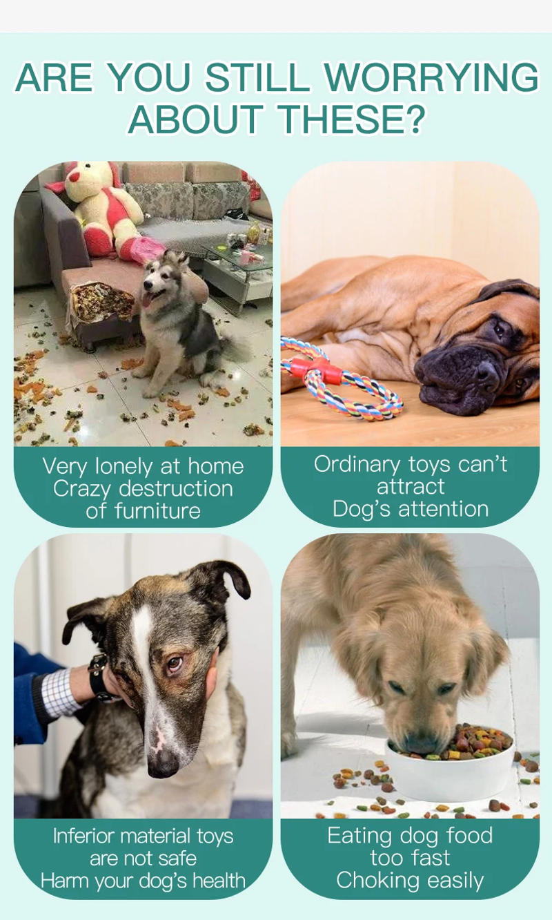 Description Picture 5 of itemFenice Dog Toys Pet Puppy Interactive Suction Cup Push TPR Ball Toys Molar Bite Toy Elastic Ropes Dog Tooth Cleaning Chewing