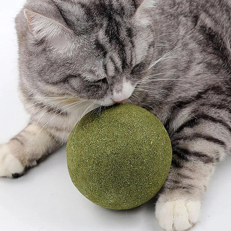 Description Picture 4 of itemSuper Large Catnip Ball 10cm Cat Grass Self-Hi Relieving Stuffy Insect Gall Fruit Giant Pet Bite Molar Wholesale Pet Cat Toy