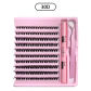Eyelash Set