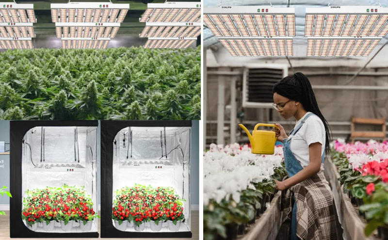 Description Picture 4 of itemPlant Lamp LED Full Spectrum Grow Light 200W many ft Cover with 882 Pieces Sam-sung Diodes Grow Lights for Plan