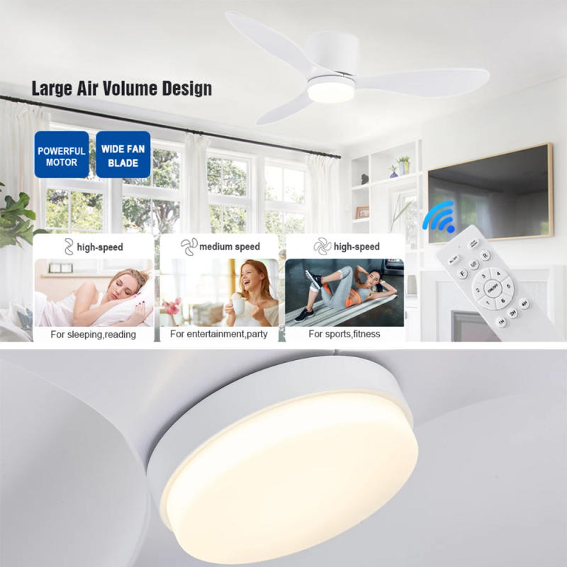 Description Picture 3 of itemIRALAN Modern LED Ceiling Fan Light With Remote Control Low Floor Decorative Light Energy-saving Light With Fan In Bedroom Home