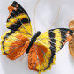 Embroidery Kit-N