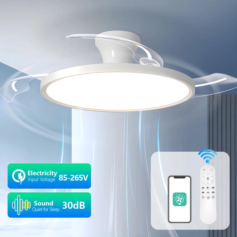 Description Picture 2 of itemIRALAN Modern Invisible Ceiling Fan with LED Light DC motor Large Air Volume Remote Control for Bedroom Dining room