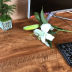 Slide image 3d1ec22cfe3e4846ba9dbf984344609a