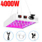 4000W 216leds