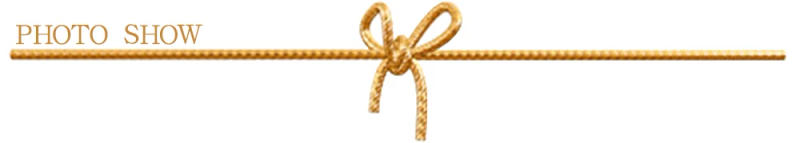 Description Picture 3 of item3D Mirror Car Stickers Cat Dog Footprint Puppy Claw Footprint Sticker Windshield Decals Bumper Car Window Door Decals 2Pcs