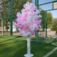 white pink