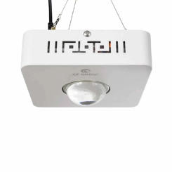 Dimmable COB CXB3590 100W 3500K LED Grow Light Full Spectrum Replace HPS 400W Growing Lamp Indoor LED Plant Growth Lighting