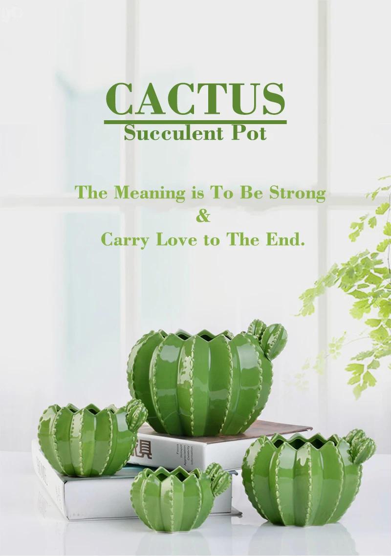 Description Picture 3 of itemNEW Creative Ceramic Cactus Bonsai Pots Indoor Decorative Plant Pot Garden Succulent Flowerpot Home Balcony Green Clay Planter
