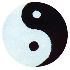 Tapestry Tai Chi Carpet embroidery with Pre-Printed Pattern Hook latch mat Hobby and needlework Pattern DIY carpet