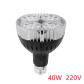 par30 40w 220v