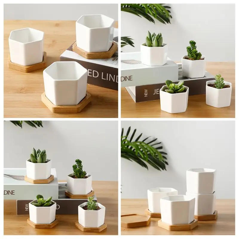 Description Picture 4 of itemGeometic White Ceramic Square Bonsai Planter Little Succulent Flower Pots Modern Small Cactus Flowerpot Bamboo Tray