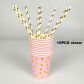 10pcs straw